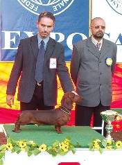arad cacib res.JBIS